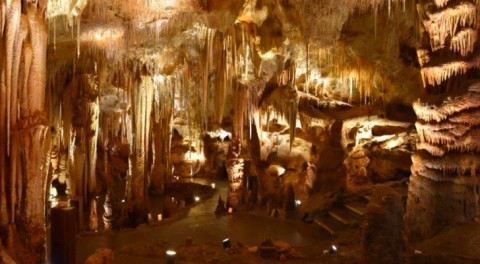 Attractions Image