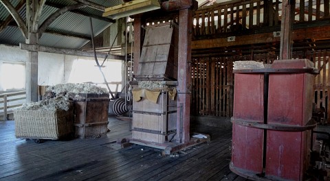 Attractions Image